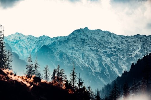 Travel story