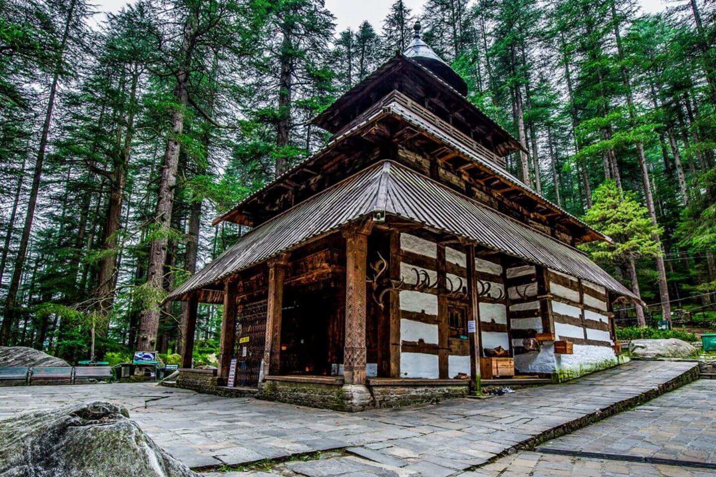 Travel to the Himalayas